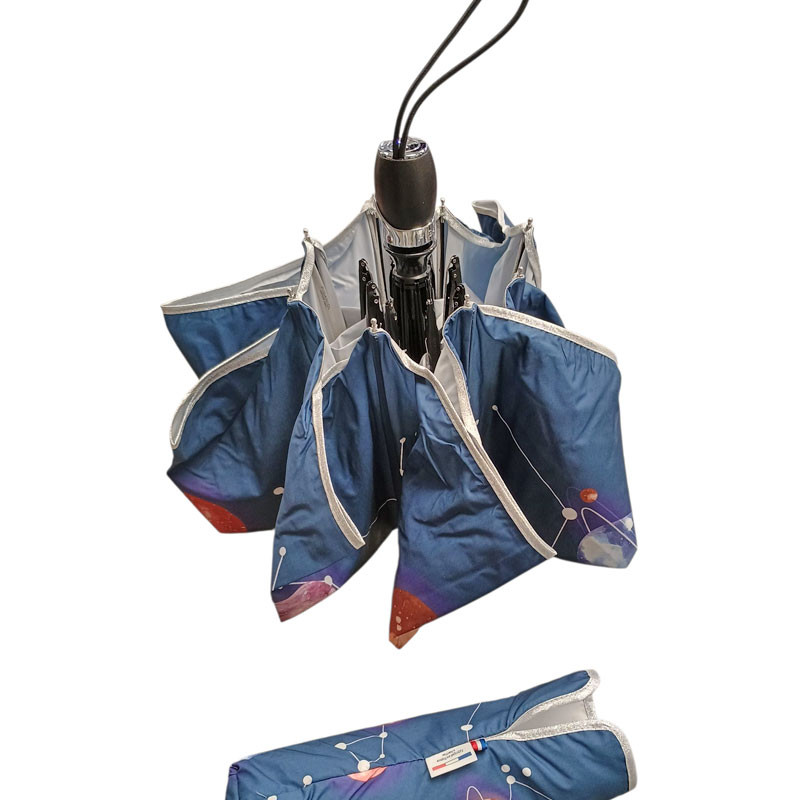 pIGANIOL mADE IN fRANCE  Constellation